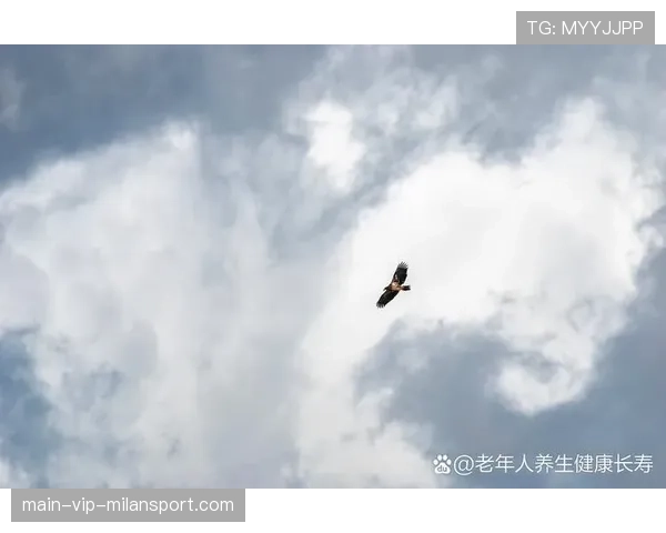 飞盘sky：跳得最高的人摘盘，飞盘飞最远能飞多少